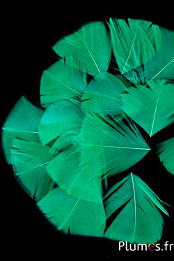 Petali a goccia in piume - 6-8 x 3-4 cm - verde
